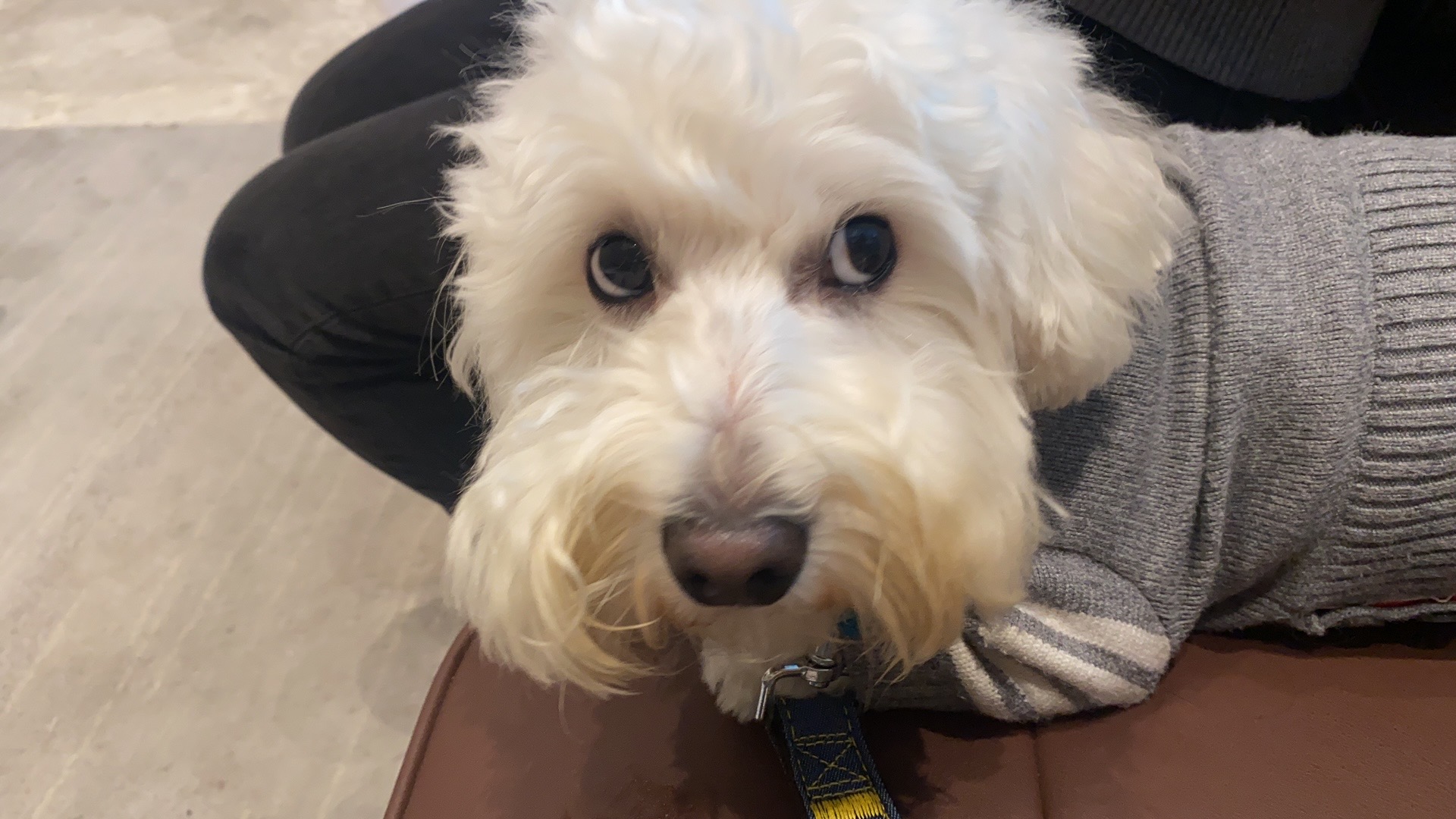 Description of image 2