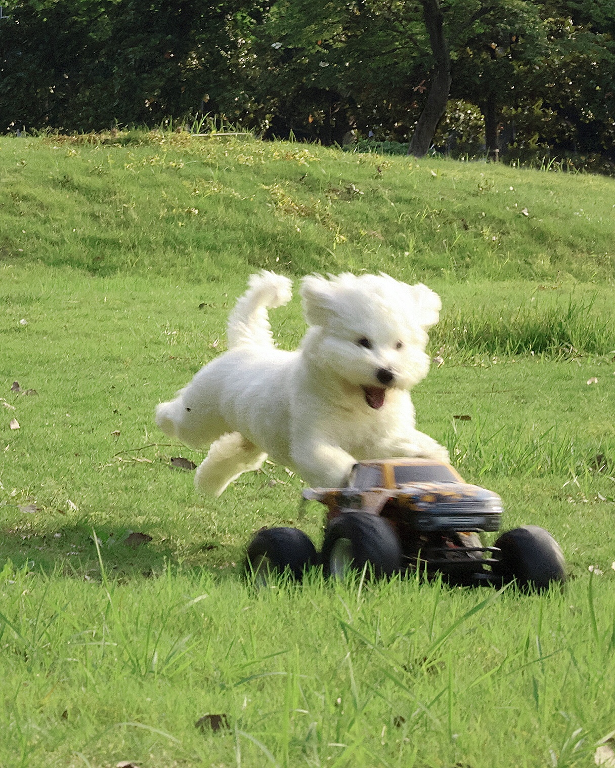 Description of image 3